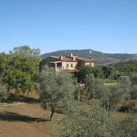 Sport Bikes And Nature Monterotondo  Bagian luar foto