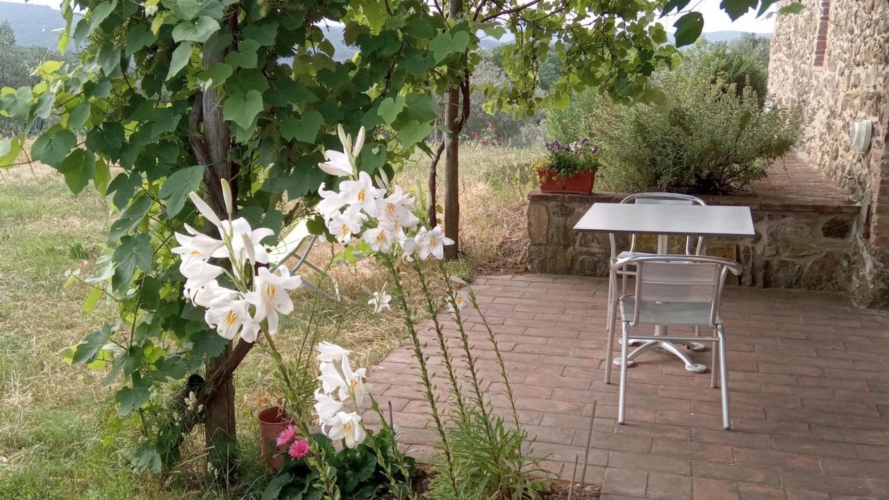 Sport Bikes And Nature Monterotondo  Bagian luar foto
